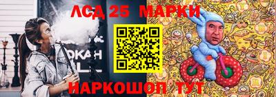 шишки Новодвинск
