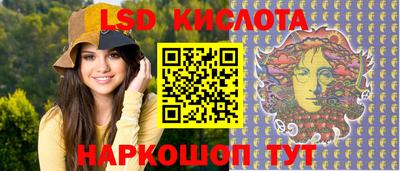 шишки Новодвинск