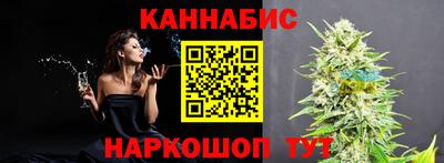 шишки Новодвинск